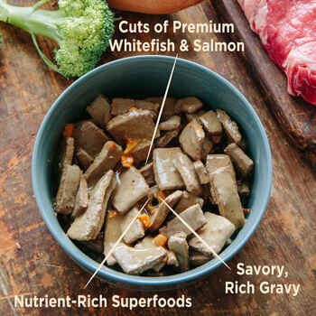 Wellness Core Grain Free Fish Salmon for Dogs