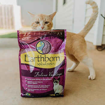 Earthborn Holistic Feline Vantage Dry Cat Food 14 lb Bag