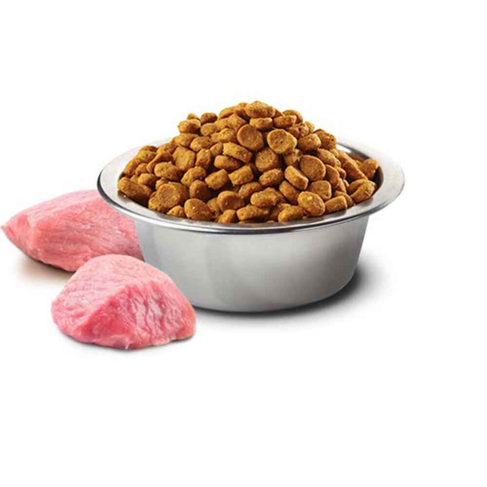 Farmina N&D Prime Adult Mini Lamb & Blueberry Dry Dog Food