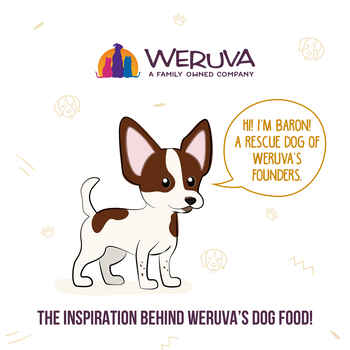 Weruva Cirque de la Mer with Tuna & Veggies in Pumpkin Soup for Dogs 24 5.5-oz Cans