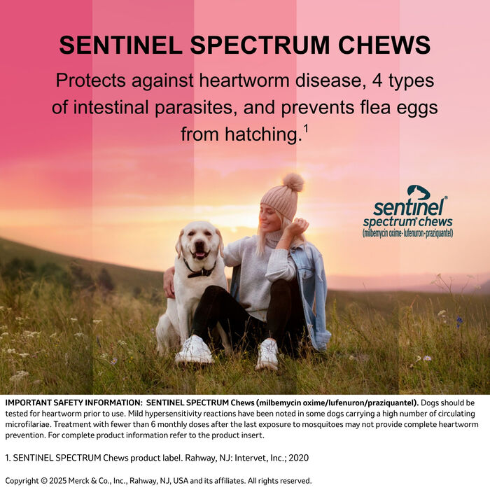 Bundle: Bravecto Flea & Tick  + Sentinel Spectrum Chews for Dogs product detail number 1.0