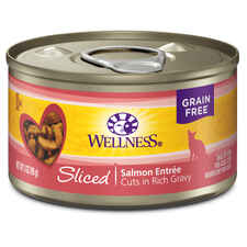 Wellness Grain Free Salmon Entree-product-tile