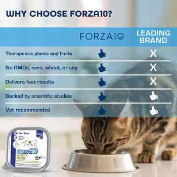 Forza10 Nutraceutic ActiWet Diabetic Support Icelandic Fish Recipe Wet Cat Food 3.5 oz Trays - Case of 32