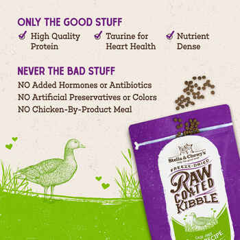 Stella & Chewy's Duck Flavored Raw Coated Cage Free Dry Cat Food 2.5 lb