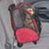 Roll Around Travel Pet Carrier - Large Red/back