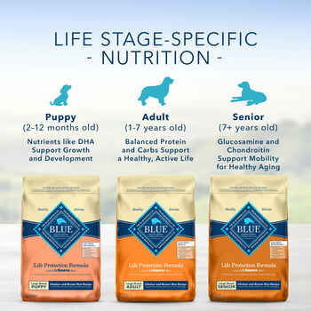 Blue Buffalo Life Protection Formula Large Breed Adult Chicken & Brown Rice Recipe Dry Dog Food 15 lb Bag
