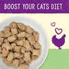 Stella & Chewy's Stella's Solutions Digestive Boost Chicken Freeze-Dried Raw Cat Food