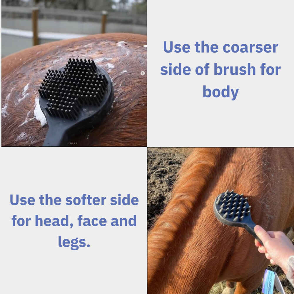 Curry on a Stik Therapeutic Curry Comb for Horses, Dogs, and Cats