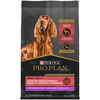 Purina Pro Plan Adult Sensitive Skin & Stomach Turkey & Oat Meal Formula Dry Dog Food