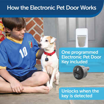PetSafe Electronic Exterior Pet Door - Small