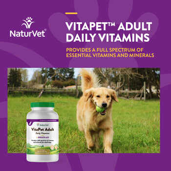 NaturVet VitaPet Adult Daily Vitamins Plus Breath Aid Supplement for Dogs Time Release Chewable Tablets 60 ct