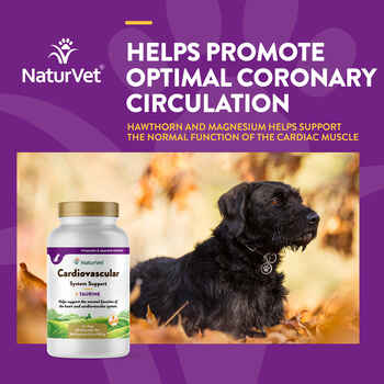 NaturVet Cardiovascular Support with Taurine Supplement for Dogs Chewable Tablets 60 ct