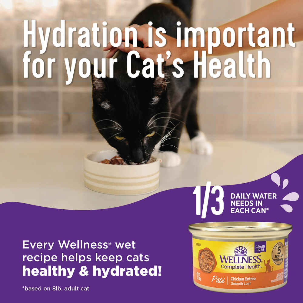 Wellness Complete Health Natural Grain Free Beef & Chicken Dinner Pate Wet Cat Food