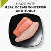 Purina Pro Plan TRUE NATURE Natural Ocean Whitefish & Trout Entrée In Sauce Wet Cat Food