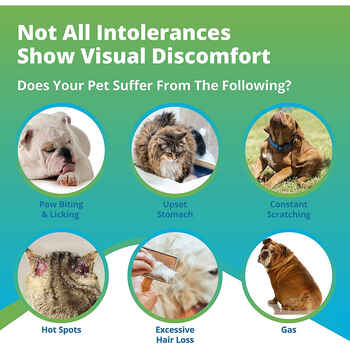 5Strands Pet Food Intolerance Test Kit