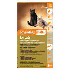 Advantage Multi 6pk Cats 5-9 lbs-product-tile