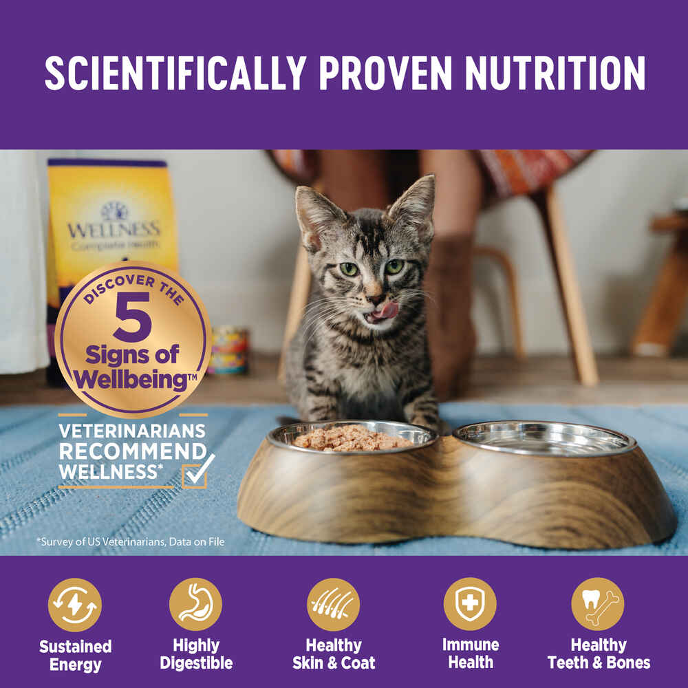 Wellness Complete Health Natural Grain Free Beef & Chicken Dinner Pate Wet Cat Food