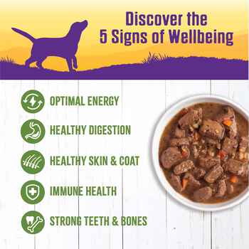 Wellness Lamb Beef Stew with Rice Apples for Dogs 12 12.5 oz Cans