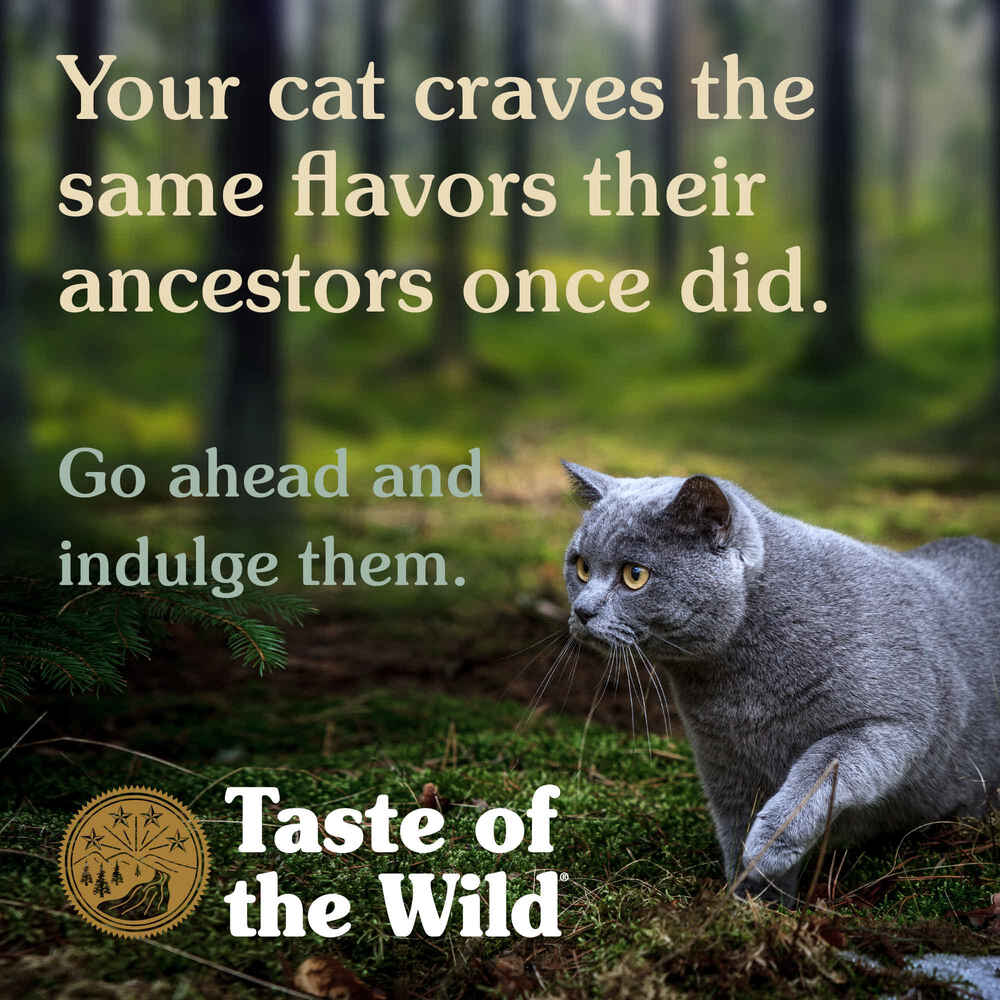 Taste of the Wild Canyon River Feline Recipe Trout & Salmon Wet Cat Food