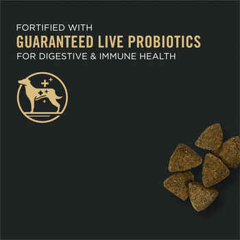 Purina Pro Plan Adult Sensitive Skin & Stomach Turkey & Oat Meal Formula Dry Dog Food 16 lb Bag