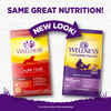 Wellness Complete Health Senior Deboned Chicken & Barley Recipe Dry Dog Food 15 lb Bag
