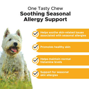 Pet Honesty Allergy Skin Health Salmon Flavored Soft Chews Skin & Coat Allergy Supplement for Dogs 90 Count