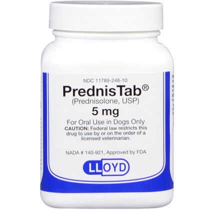 Prednisolone for Dogs and Cats | Joint 