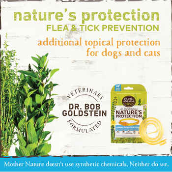 Earth Animal Nature's Protection™ Flea & Tick Herbal Collar for Dogs Small, 20in