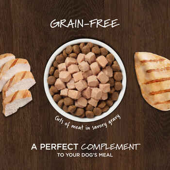 Instinct Healthy Cravings Real Chicken Recipe Grain-Free Wet Dog Food Topper - 3 oz Pouch - Case of 24