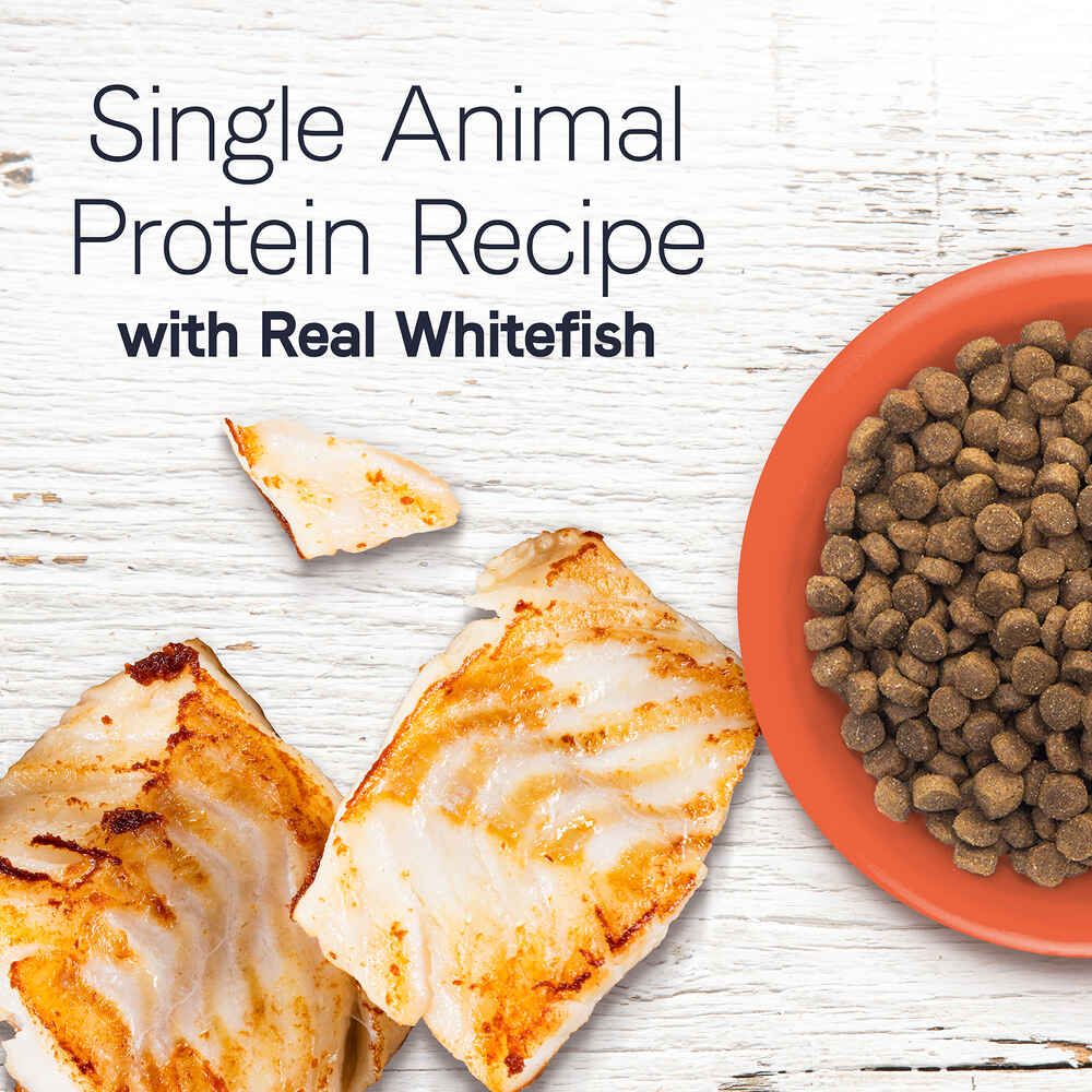 Canidae Under The Sun Grain Free Whitefish Recipe Dry Dog Food