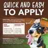 TropiClean Enticers Teeth Cleaning Gel for Dogs Hickory/Bacon