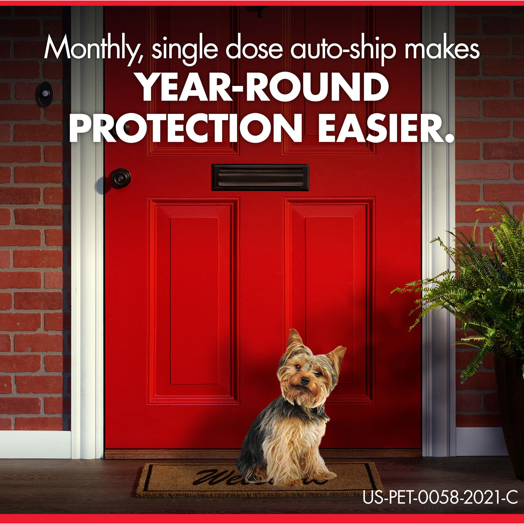 generic heartgard amazon