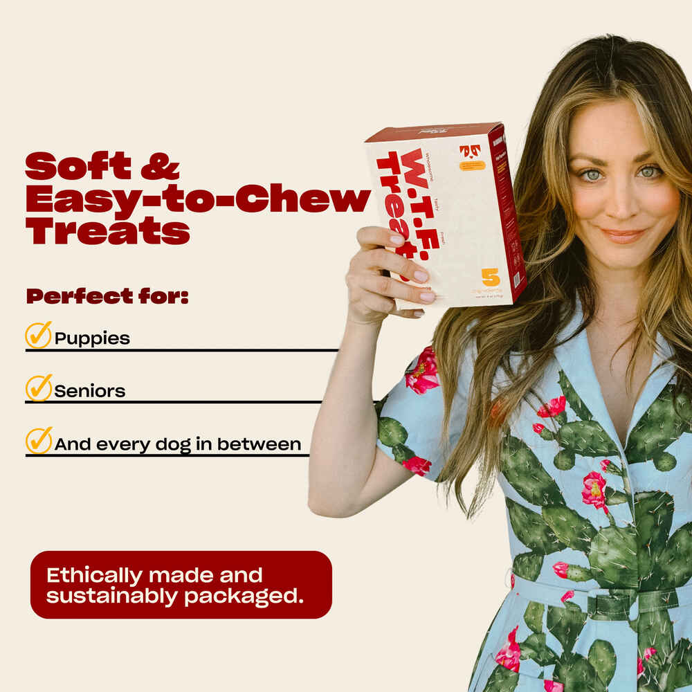 OH NORMAN ! WTF Free Range Beef Jerky Dog Treats