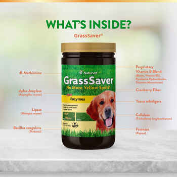 NaturVet GrassSaver Plus Enzymes Supplement for Dogs Wafers 300 ct