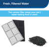 PetSafe Drinkwell Premium Replacement Carbon Filters for Water Fountains 3 Pack