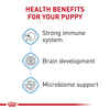 Royal Canin Size Health Nutrition Small Breed Puppy Dry Dog Food - 2.5 lb Bag
