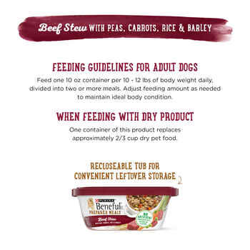 Purina Beneful Prepared Meals Beef Stew Wet Dog Food 10 oz Tub - Case of 8