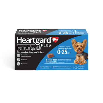 Heartgard Plus Chewables 1pk 01-25lbs product detail number 1.0