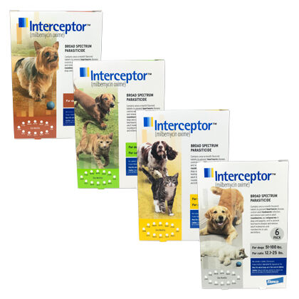 Interceptor for Dogs \u0026 Cats | Heartworm 
