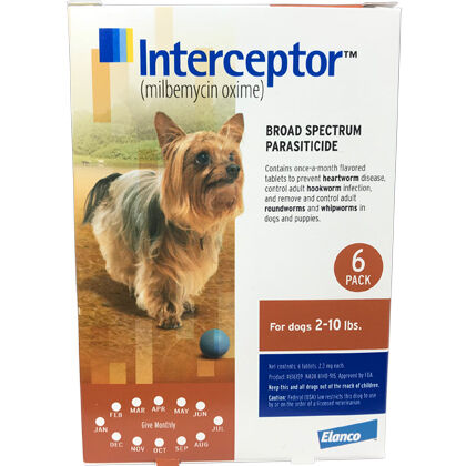 interceptor dog med