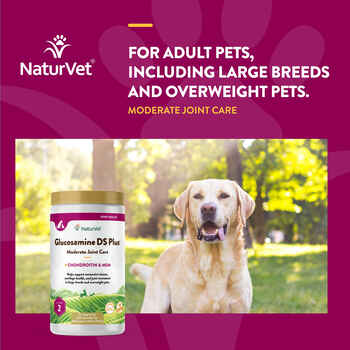 NaturVet Glucosamine DS Plus Level 2 Moderate Joint Care Support Supplement for Dogs and Cats Time Release Chewable Tablets 240 ct
