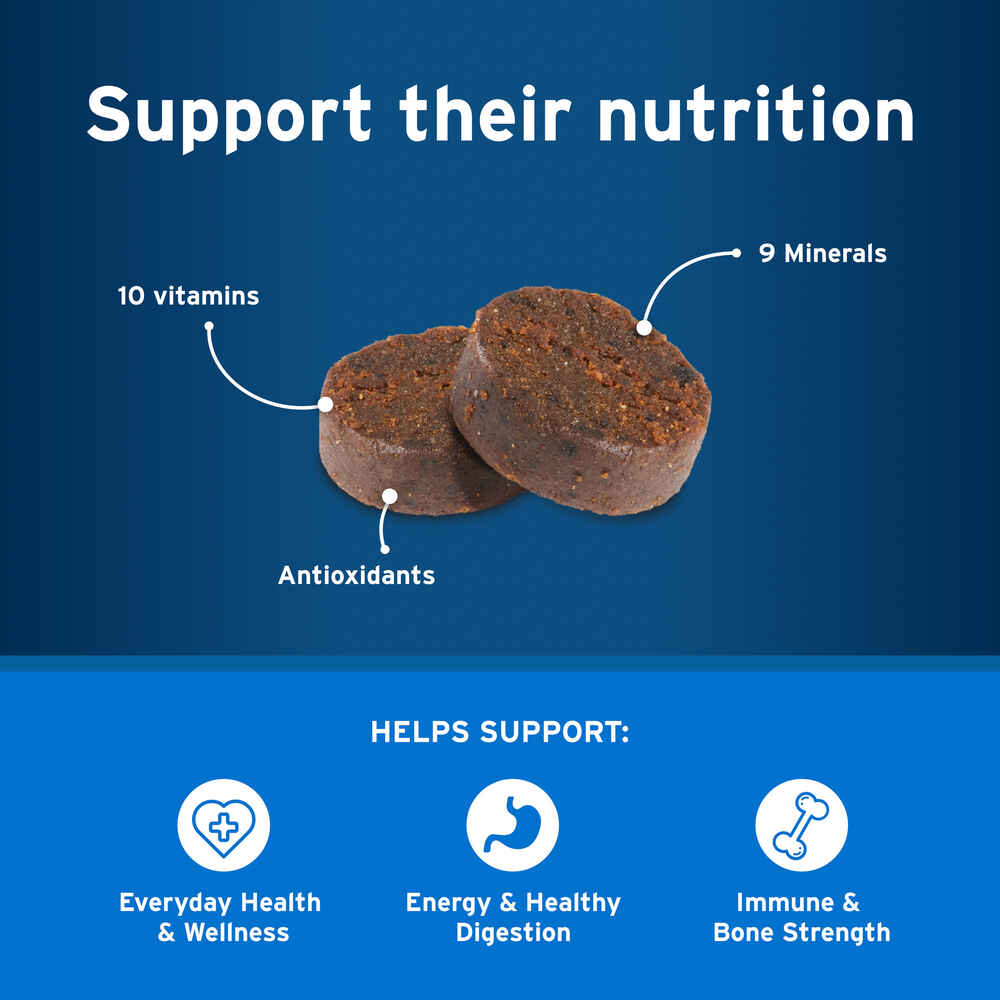 Pet Protect Vet-Formulated Daily Multivitamin DVM Soft Chews for Dogs