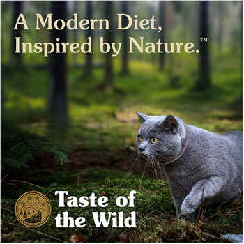 Taste Of The Wild Rocky Mountain Canned Salmon/Chicken Cat Food case of 24