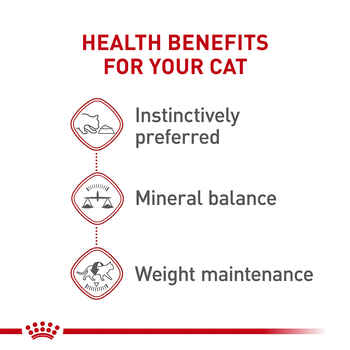 Royal Canin Feline Health Nutrition Adult Instinctive Loaf In Sauce Canned Wet Cat Food 3 oz Can - Case of 24