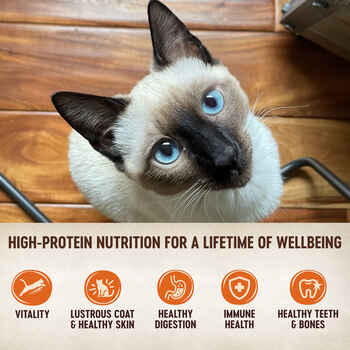 Wellness CORE Tiny Tasters Pate Tuna & Salmon Recipe Wet Cat Food 1.75 oz Pouch - Pack of 12