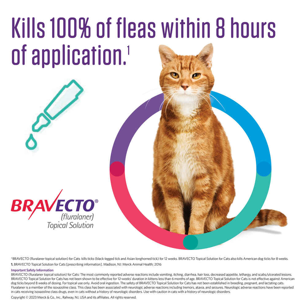 Bravecto for Cats - us-bravecto-com
