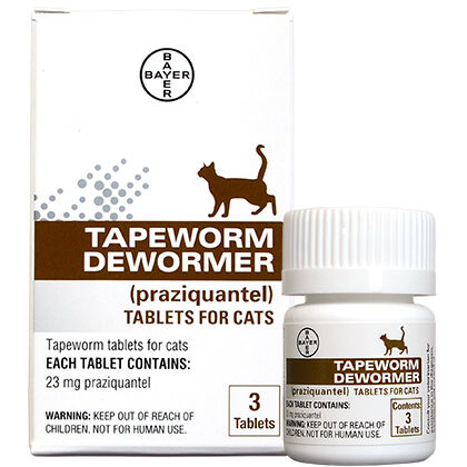 cat dewormer canada