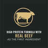 Purina Pro Plan Adult Complete Essentials Shredded Blend Beef & Rice Formula Dry Dog Food 6 lb Bag