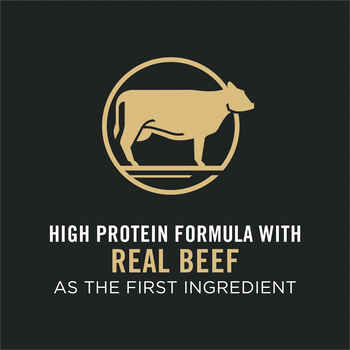 Purina Pro Plan Adult Complete Essentials Shredded Blend Beef & Rice Formula Dry Dog Food 35 lb Bag