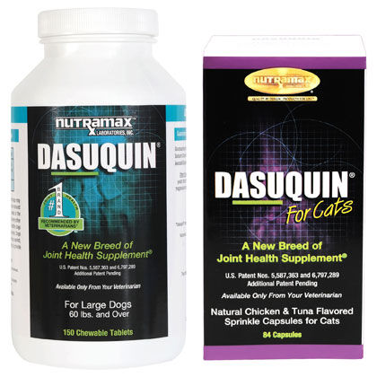 best dasuquin for dogs